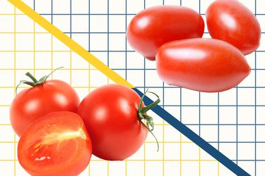 Graphic of cherry tomatoes and grape tomatoes on a grid 