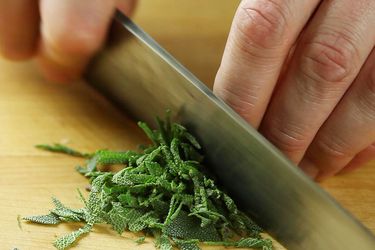 20170207-fresh-sage-knife-skills-primary.jpg