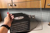 A person holding the stainless steel rack of the Samson Silent food dehydrator