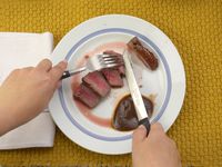 a person slicing steak with the williams sonoma steak knives
