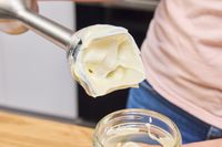 Pureed food on the blade of the Vitamix Immersion Blender