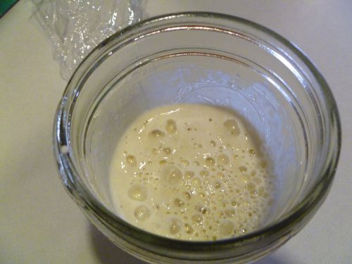 20101102 yeast sourdough.JPG
