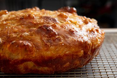 20190701-focaccia-tests-vicky-wasik-11