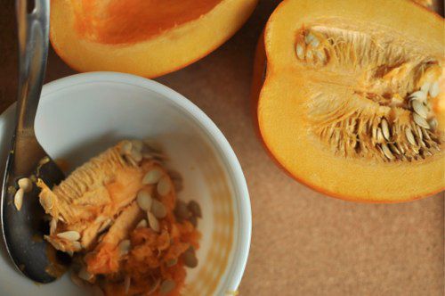 20110114-175122-gutting-sugar-pumpkin.jpg