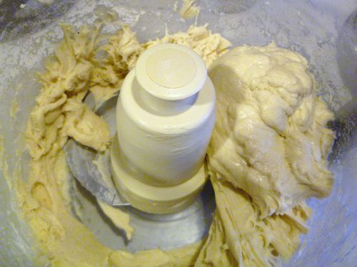 20110125-protips-kneading-food-processor.JPG