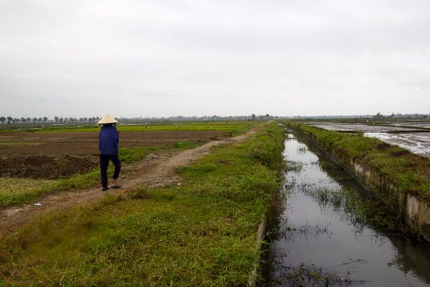 20130121-vietnam-rice.jpg