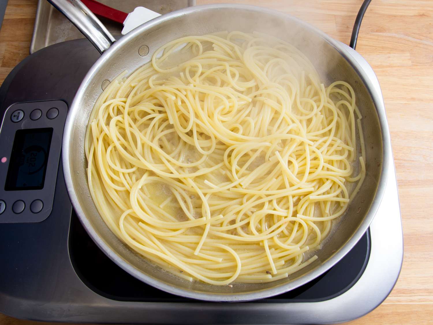 20210218-burro-e-alici-sasha-marx-6