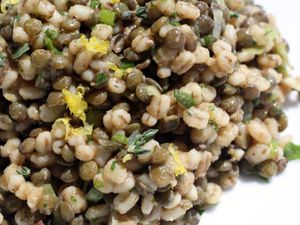 20110322LentilBarleySalad.jpg