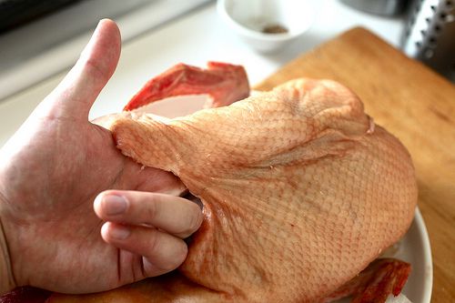 A hand using two fingers to separate the duck skin from the duck breast, on an uncooked duck.