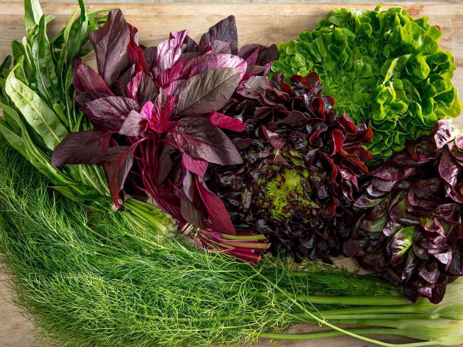 Selection of greens and lettuces on a cutting board, including fennel fronds, red and green leaf lettuce, and mustard greens.