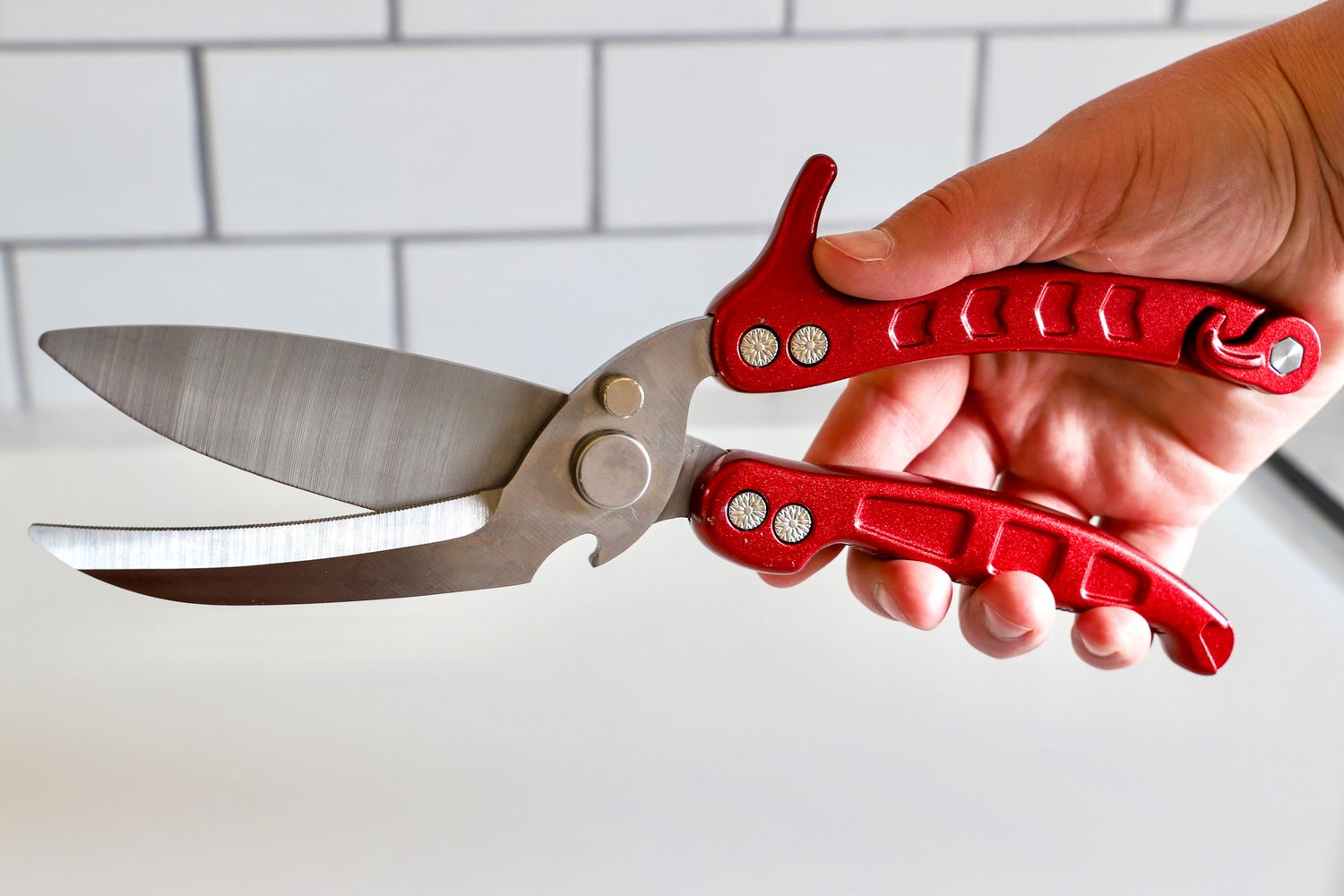 Hand holding a pair of Dragon Riot poultry shears above a plastic cutting board