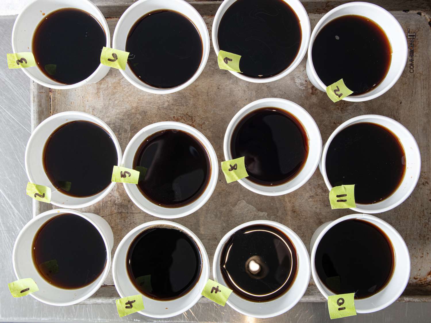 Twelve cups of coffee, labeled with numbers, arranged on a tray for a taste test