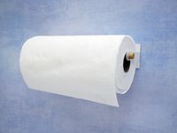 yamazaki paper towel holder with a roll of towels on it
