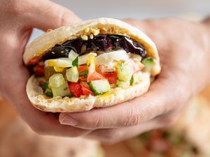 Side view of holding Sabich