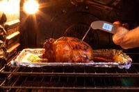 A person using a white Thermapen ONE thermometer to take the temperature of chicken roasting in the oven.