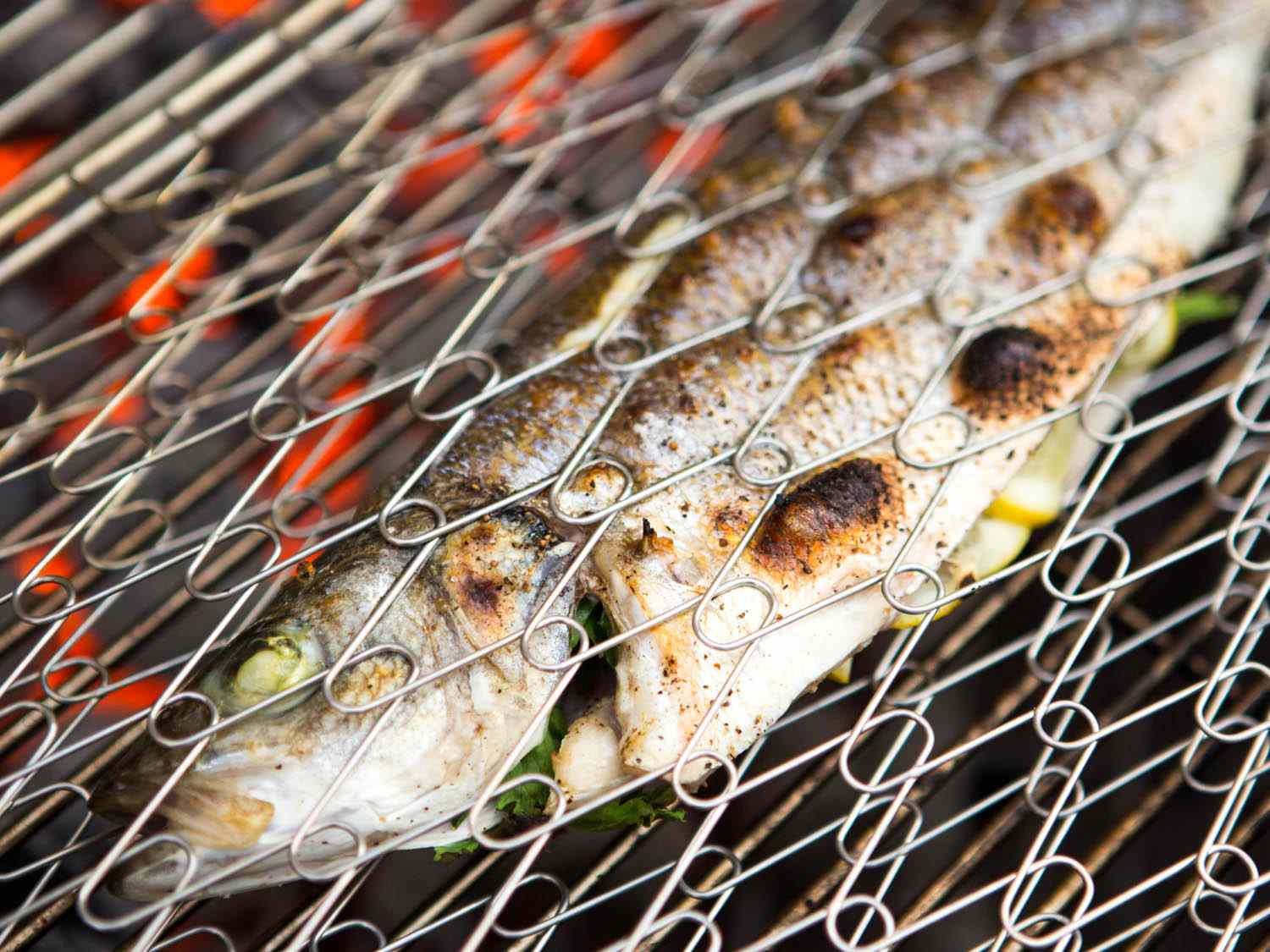 Closeup of a whole fish being grilled inside a fish basket.