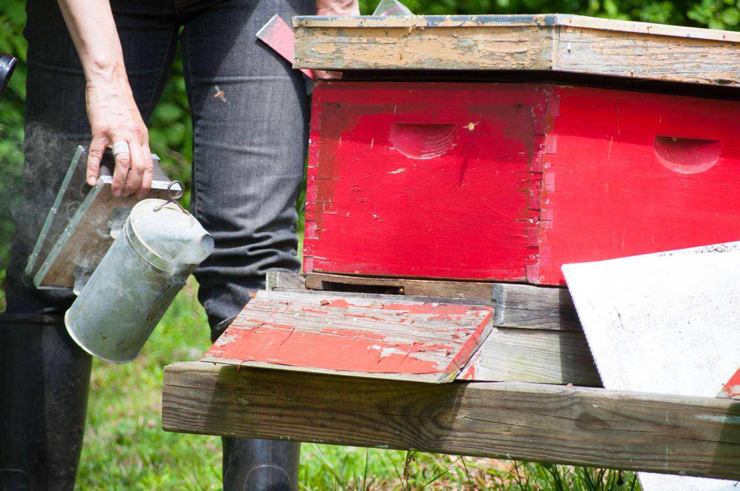 Marina with Smoker-1.jpg