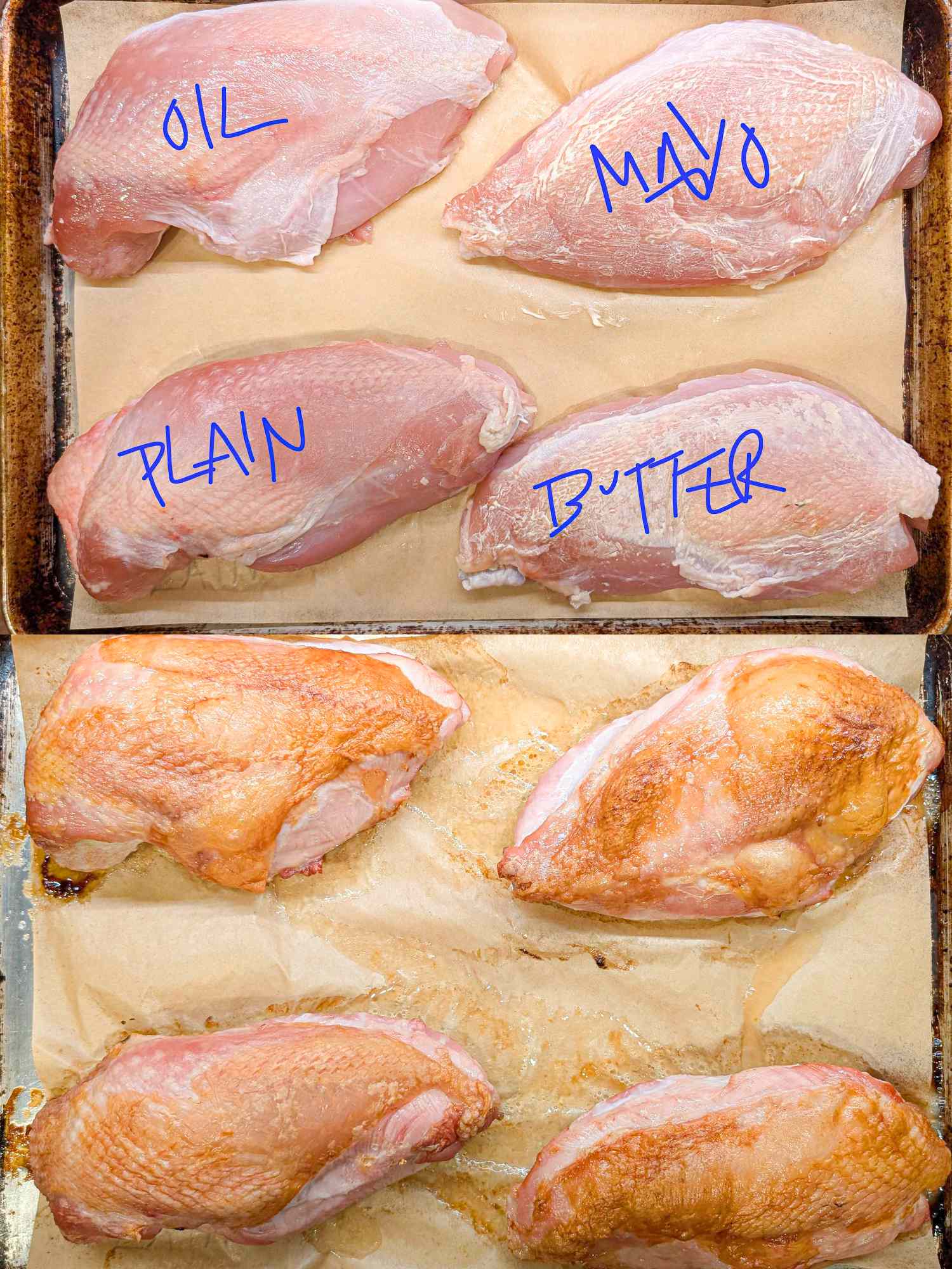 Comparison of turkey breast treatments labeled oil mayo plain and butter before and after cooking arranged in two rows