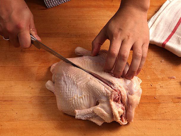 Cutting straight down the center of the backbone