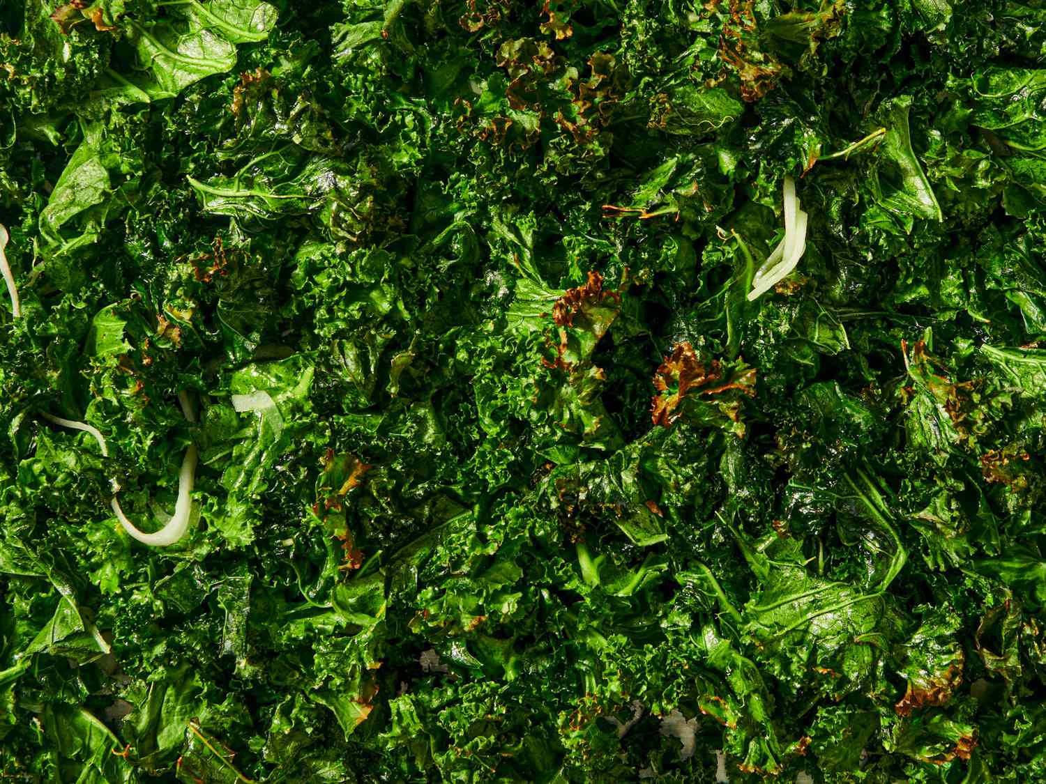 Closeup of cooked kale with some crispy and wilted leaves