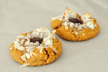 20120109-cookiemonster-peanutbuttercoconutcookies.JPG