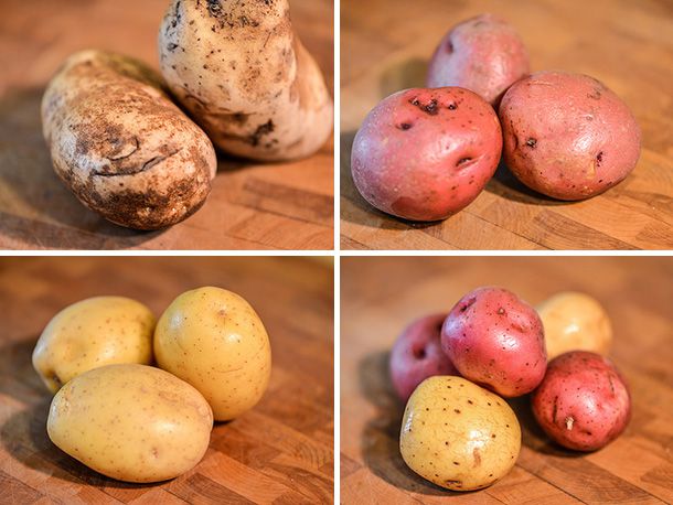 20140320-287336-campfire-potatoes-types.jpg