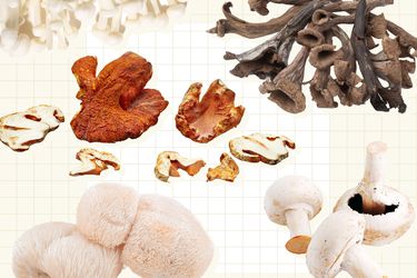 Collage of mushrooms