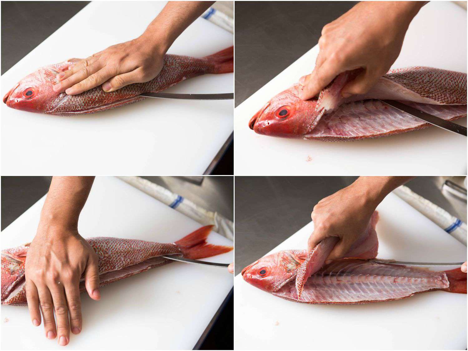 20150922-how-to-fillet-fish-first-side.jpg