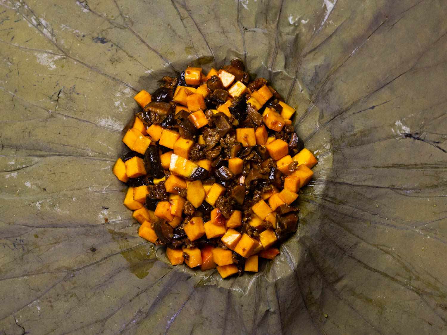 20201106-lotus-leaf-squash-tim-chin-3 copy