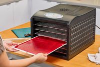 A person inserting the food leather tray inside of Samson Silent Dehydrator