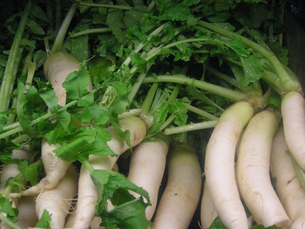A pile of fresh daikon greens 