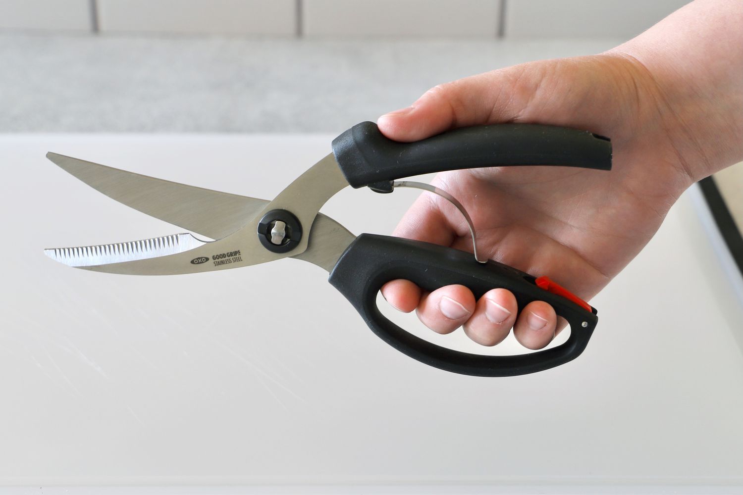 A person holding the OXO poultry shears.
