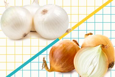 Graphic of white vs yellow onions 