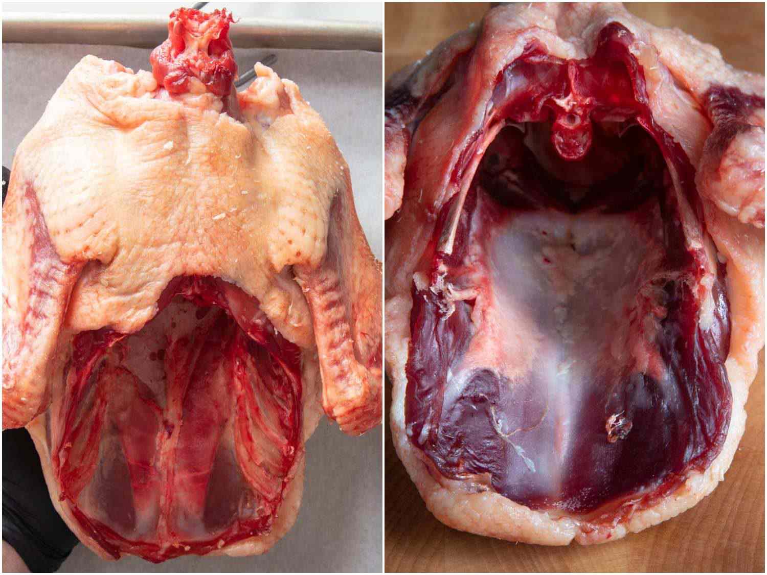 Photo collage showing differences between duck aged for 3 days and duck aged for 14 days.