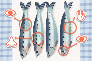 Nassner_Accessibility_Final_SeriousEats_spot2