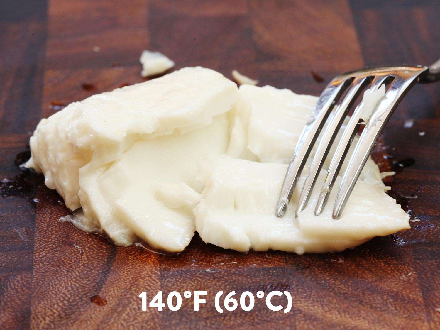 A piece of sous vide halibut cooked to 140 degrees Fahrenheit (60 degrees C). It's being flaked with a fork.