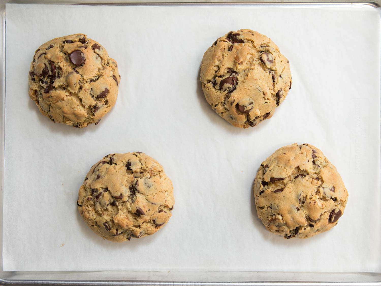 Four baked Levain-style chocolate chip cookies on a parchment lined baking sheets.