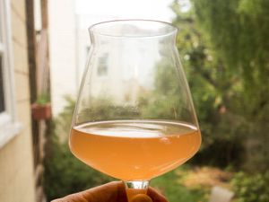 20150723-brewing-a-fast-sour-beer-steve-hoyt.jpg