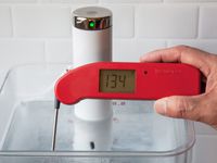 Hand using ThermoWorks Thermapen ONE to check the temperature of water