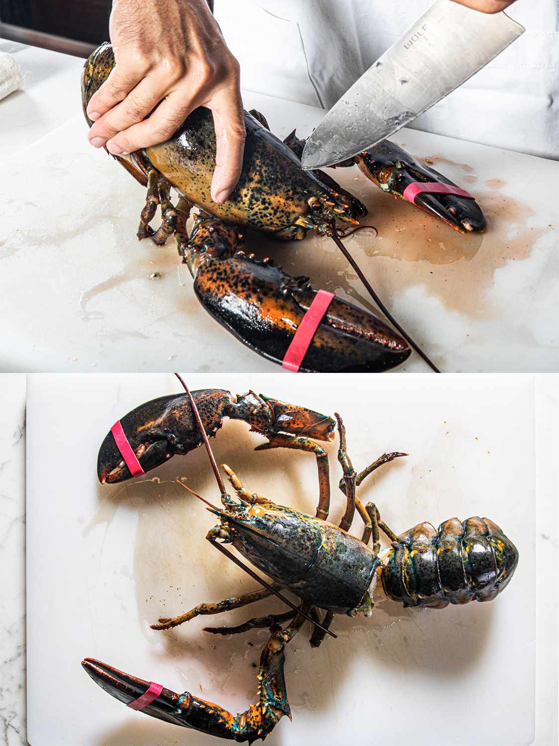 Two Image Collage. Top: A knife being placing between the eyes of the lobster. Bottom: Over head view of a separated lobster on a plastic cutting board