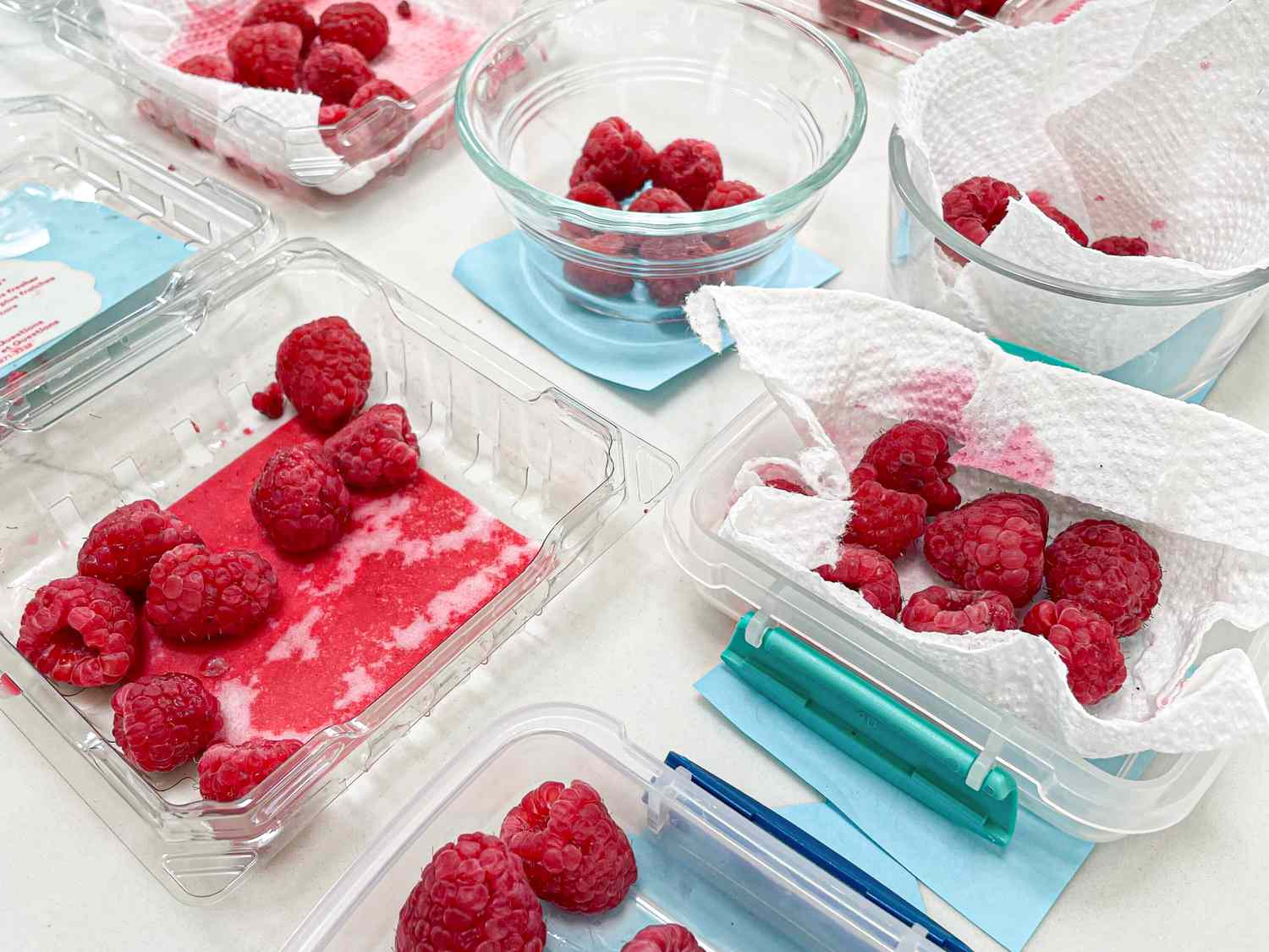 Overhead view of raspberry storage tests 