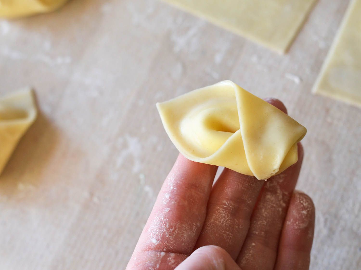 A filled and shaped wonton, ready for frying.