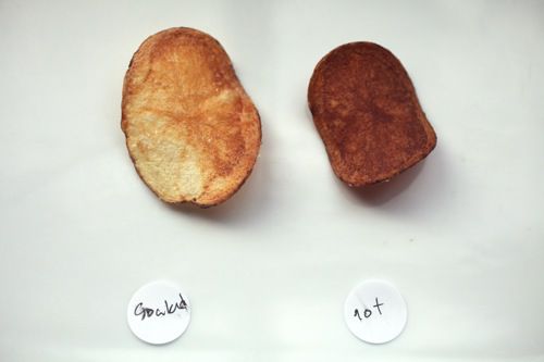 20100924-food-lab-chips-08-soak-vs-no.jpg