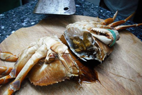 A large uncooked crab cut down the center into two parts