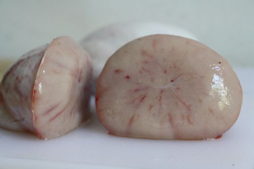 A profile image of a testicle that has been sliced.