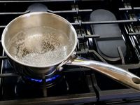 Duxtop 1.6 Quart Whole-Clad Tri-Ply Stainless Steel Saucepan with Lid