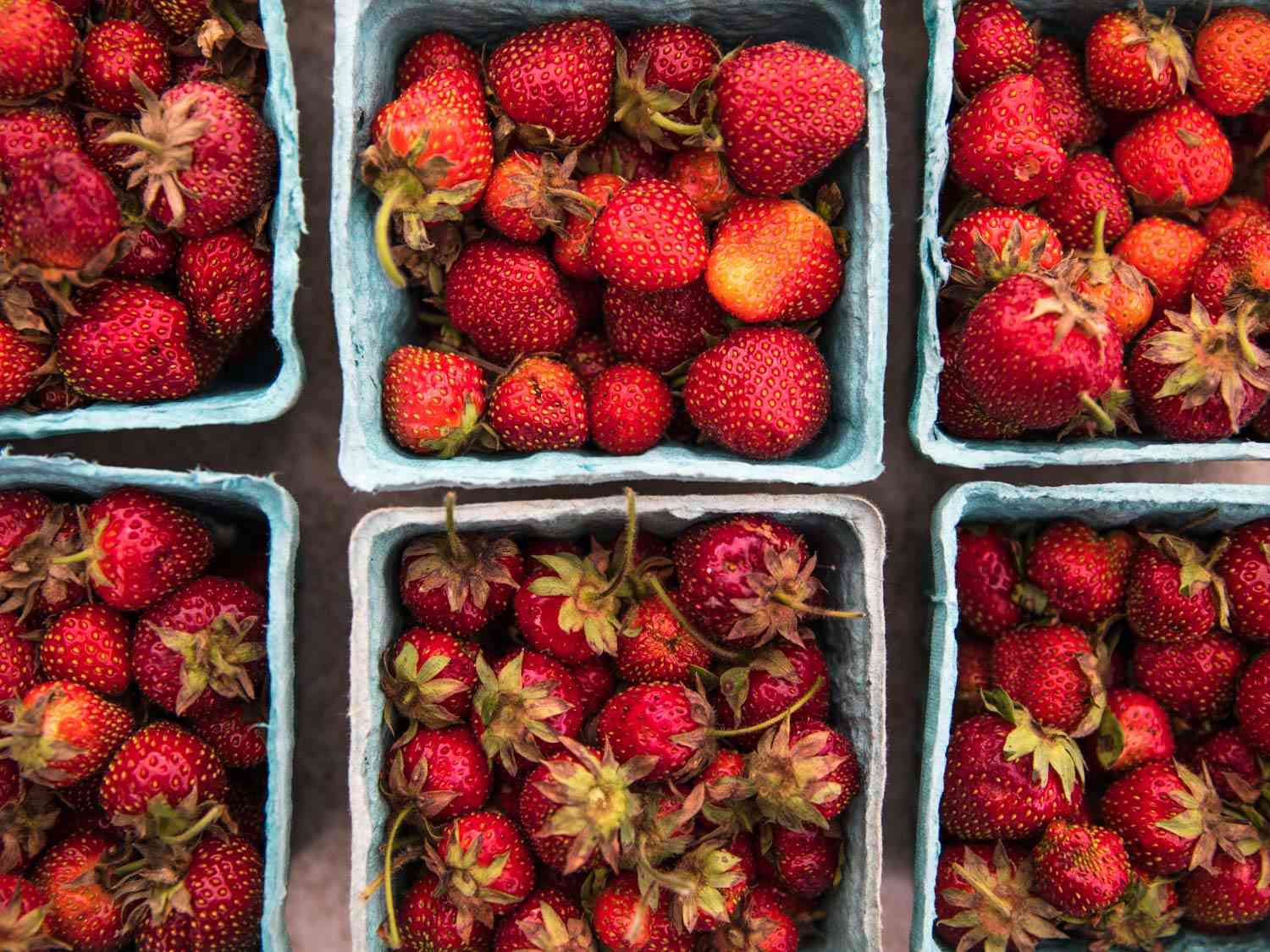 Cardboard containers of strawberries at Willow Wisp Organic Farm farmers market stand