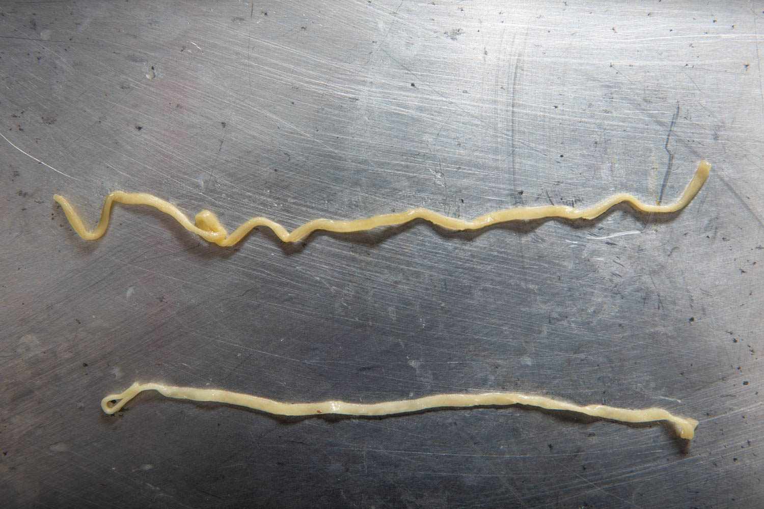 American Seafood Cup Noodle noodle on top compared with Japanese Seafood Cup Noodle noodle on bottom. The noodles were cooked in their counterpart's cups.