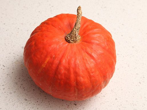 A small, dense pumpkin suitable for cooking.