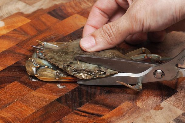 Preparing to cut off the face and mouth parts of a soft-shell crab with kitchen shears
